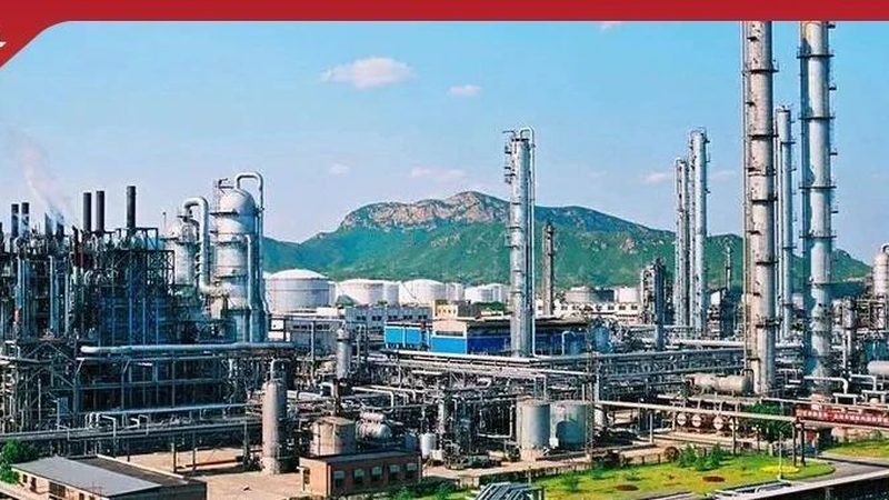 环保可降解改性塑料：绿色转型下的新选择**