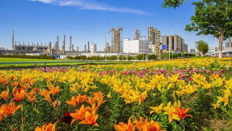 环保型化工产品：规格型号参数解析与选型要点