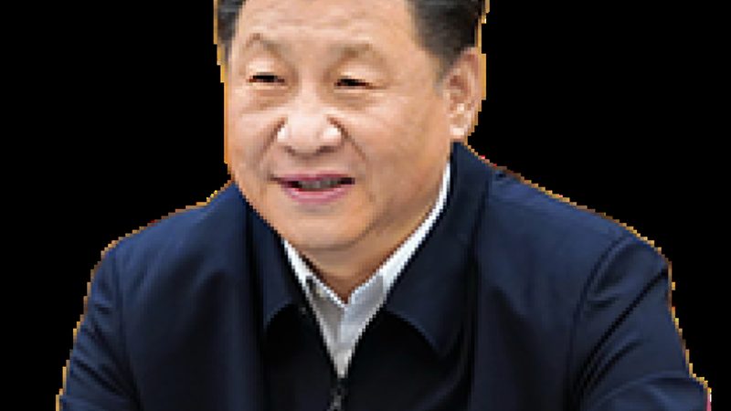 精细化工添加剂：温州批发市场的价格解析与选购要点